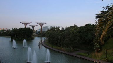 Gardens by the Bay